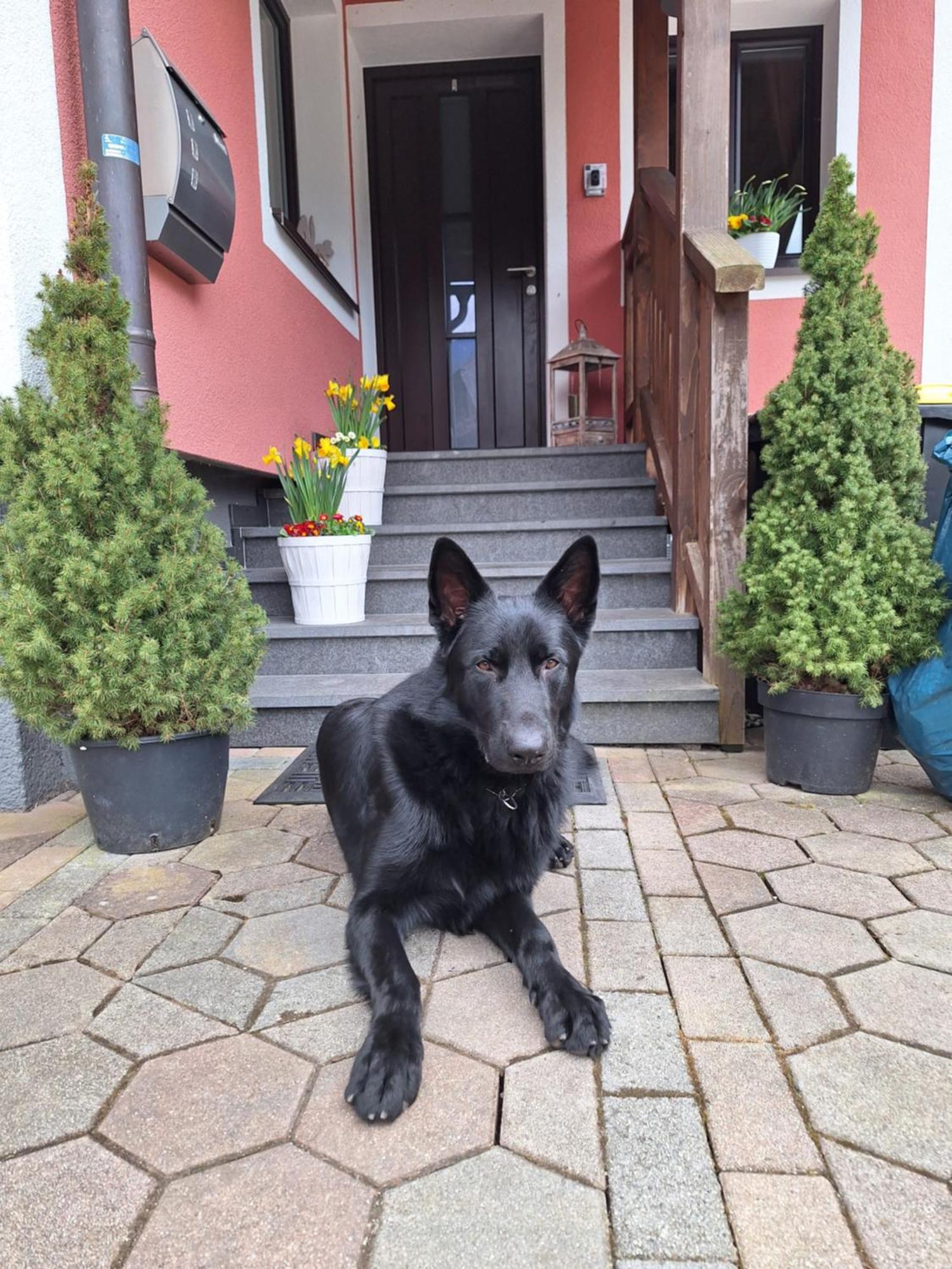 Haus Hoell Herta Hallstatt Buitenkant foto